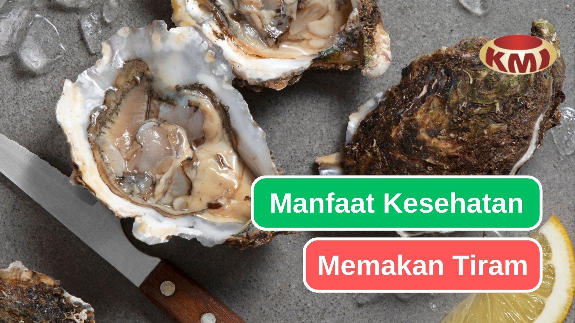 10 Alasan Kenapa Memakan Tiram Baik untuk Tubuhmu